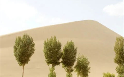 特别好看的风景头像图片意境成熟 大自然沙漠绿洲微信头像唯美