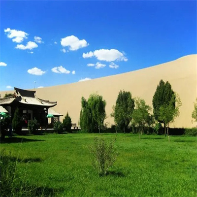 特别好看的风景头像图片意境成熟 大自然沙漠绿洲微信头像唯美