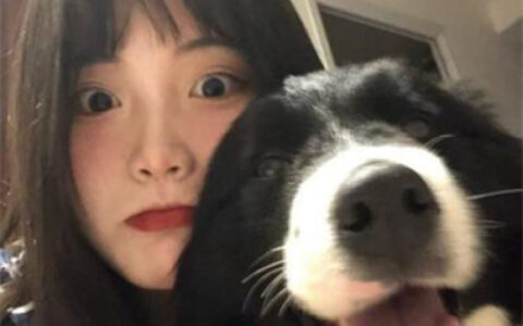 真人版情头不想被知道就用这个 不明显情侣头像带宠物超萌可爱