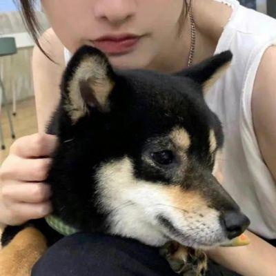 真人版情头不想被知道就用这个 不明显情侣头像带宠物超萌可爱