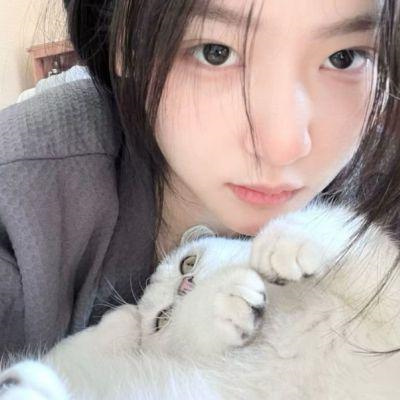 真人版情头不想被知道就用这个 不明显情侣头像带宠物超萌可爱