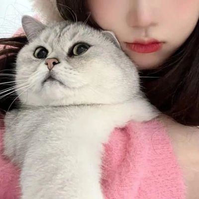 真人版情头不想被知道就用这个 不明显情侣头像带宠物超萌可爱