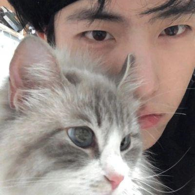 真人版情头不想被知道就用这个 不明显情侣头像带宠物超萌可爱