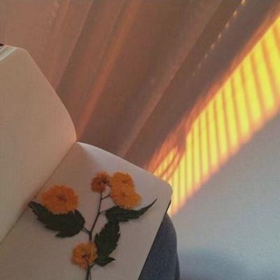 微信头像朋友圈背景图高清 治愈头像风景阳光男女图片大全