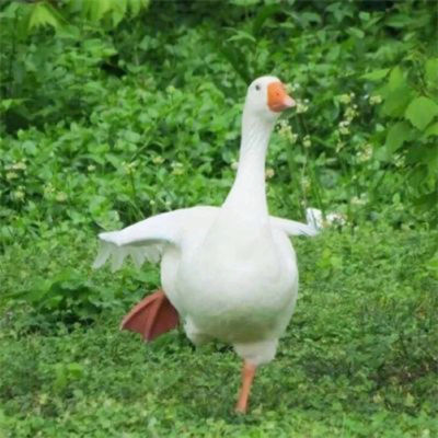 超搞笑快乐又回来了个性头像 可爱又不失沙雕的头像图片大全