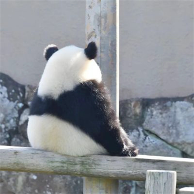 一男一女萌娃高清情侣头像 抖音超火萌娃情头可可爱爱图片