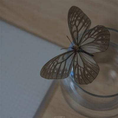 用心记录生活的头像合集 高级ins感风景唯美头像图片高清