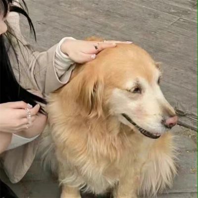 适合情侣用的专属高清头像大全 对象不是人系列情头真人可爱