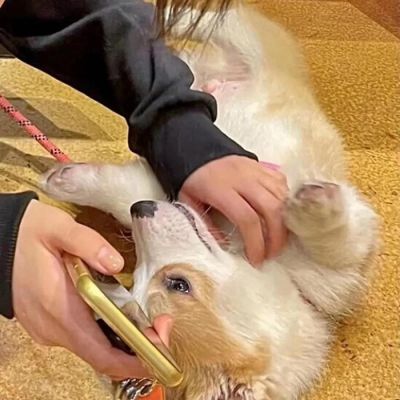 适合情侣用的专属高清头像大全 对象不是人系列情头真人可爱