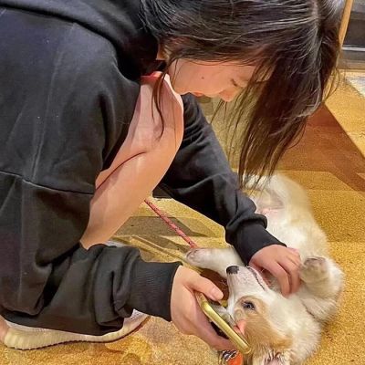 适合情侣用的专属高清头像大全 对象不是人系列情头真人可爱