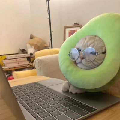 动漫情侣唯美甜蜜高清图片大全 好看的情侣头像图片可爱