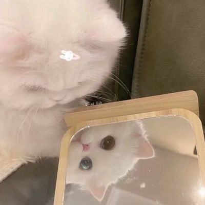 动漫情侣唯美甜蜜高清图片大全 好看的情侣头像图片可爱