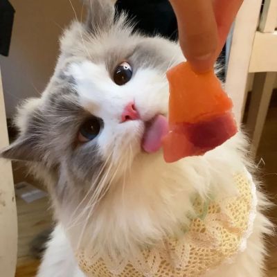 动漫情侣唯美甜蜜高清图片大全 好看的情侣头像图片可爱