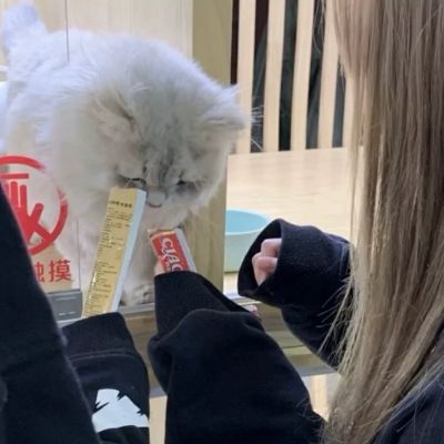甜蜜幸福的情侣高清头像图片 2022最火一男一女情侣头像真人