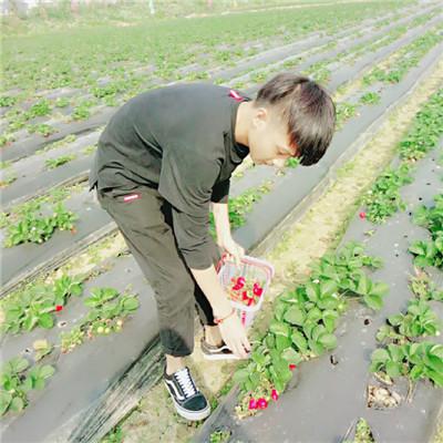 唯美情侣微信真人头像图片 搞怪头像情侣个性图片