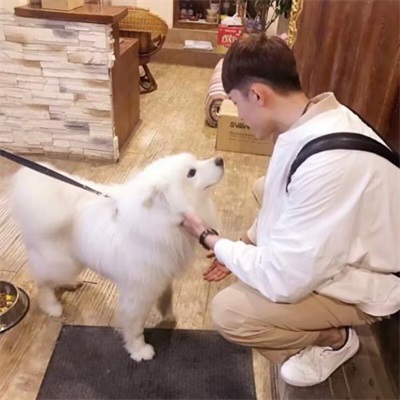 超甜蜜情侣最新头像图片大全 潮流情侣高清头像一对两张