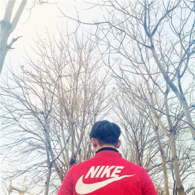 唯美情侣浪漫氛围头像图片 撩人超甜情头一人一半污