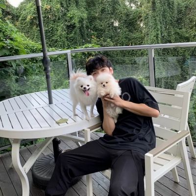 特别漂亮特别甜的情头2023 不明显的很浪漫的精致情头大全