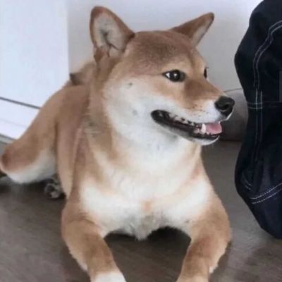 唯美情侣真人高清图片大全 情侣头像一对两张一对情侣
