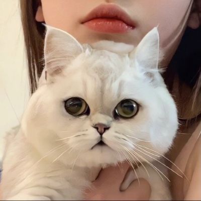 唯美情侣真人微信头像图片 好看情侣qq头像高清图片