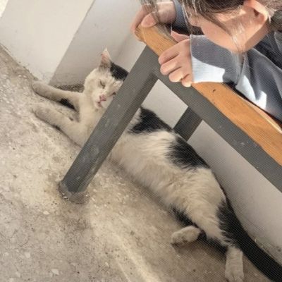 情侣唯美真人浪漫图片头像大全 超甜高清优质情头图片