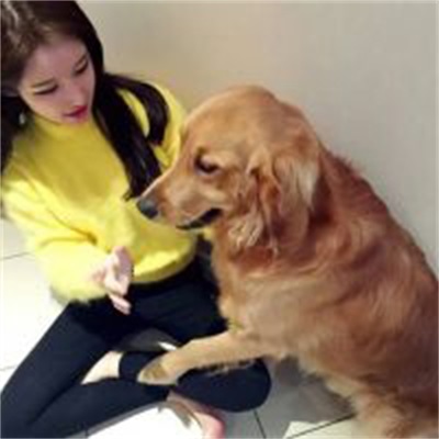 唯美情侣浪漫个性图片大全 社会情侣男女头像图片