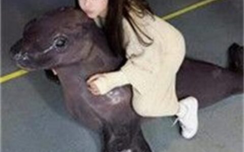 唯美情侣真人个性图片大全 浪漫情侣2022最新头像图片
