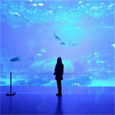 唯美浪漫情侣真人头像图片 情侣头像甜蜜气质双人