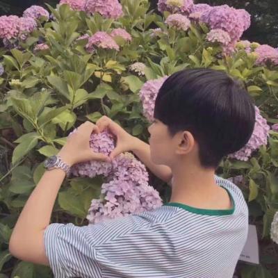 唯美情侣高清浪漫图片大全 高质量情头qq情侣头像真人