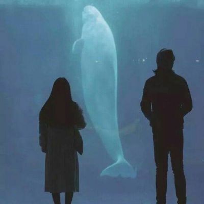 浪漫个性情侣高清图片 2022微信唯美头像图片