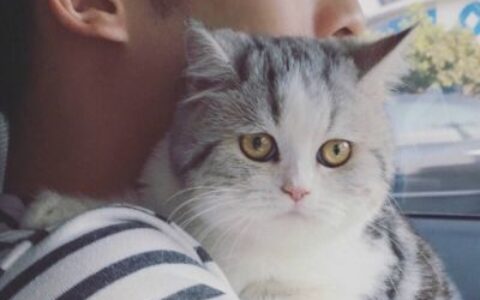 唯美浪漫情侣图片大全 好看的高清真人情侣头像