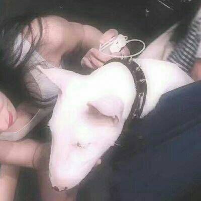 唯美浪漫情侣图片大全 好看的高清真人情侣头像