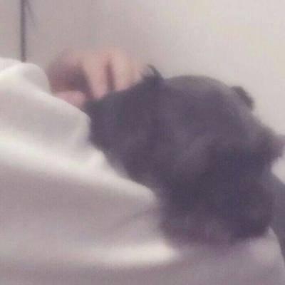 气质情头真人高清图片 唯美浪漫情侣专属头像