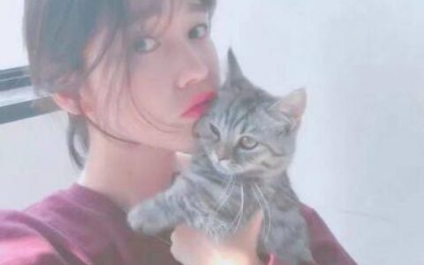 唯美浪漫情头高清图片 qq情侣头像小清新真人大全
