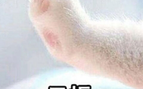 个性情侣创意图片 好看独特的情侣头像