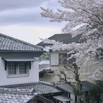 唯美情侣图片最新真人 时尚情侣头像高冷潮流