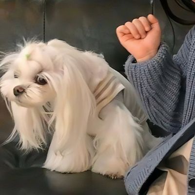 清纯情头唯美图片 好看的高清情侣头像真人