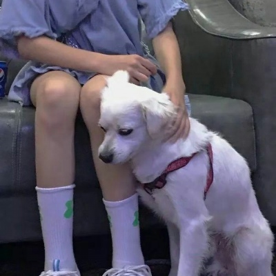单身狗专磕 另类撒娇个性情侣头