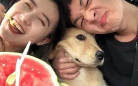 生活平淡也是甜的 日常甜蜜情侣头像双人