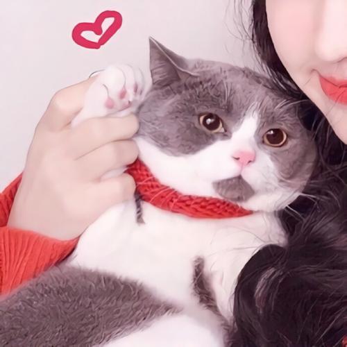 有各种姿态的情头图片 qq情侣头像一人一张分开真人