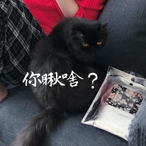 高清唯美一男一女 温柔情头图片一对