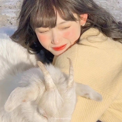 错过了秋枫冬雪便会迎来春天的樱花 ins真人恩爱情头