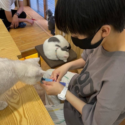 独一无二 全网好看的情头