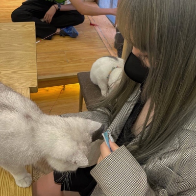 独一无二 全网好看的情头