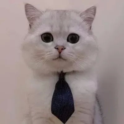 高清不明显情头真人高清一人一张图片 不想公开的单人情头