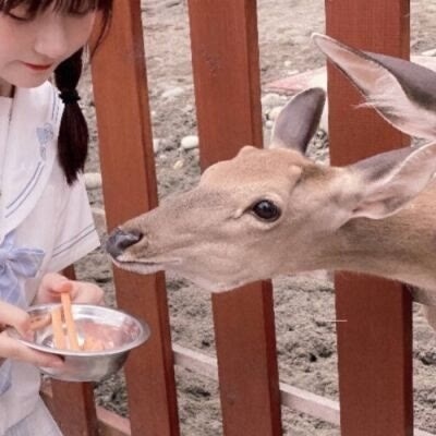 高清可爱另一半不是人的情侣头像图 男朋友不是人系列的情侣头像