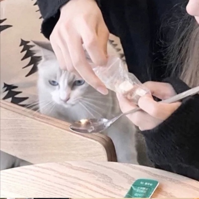 高清可爱另一半不是人的情侣头像图 男朋友不是人系列的情侣头像