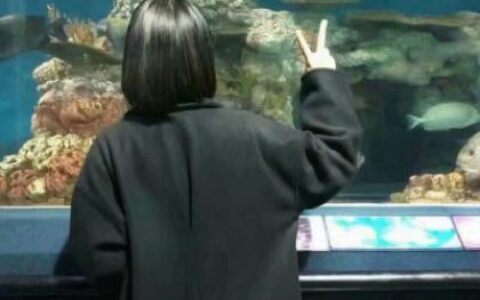 2021最新微信情侣头像背影两张唯美一对一男一女