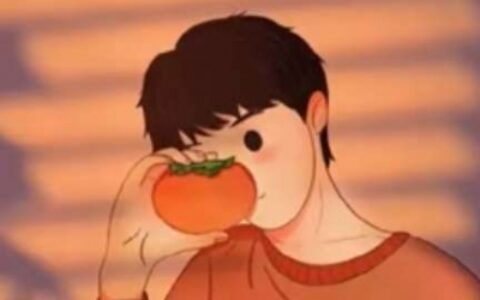 寓意一生一世的漫画情头图片