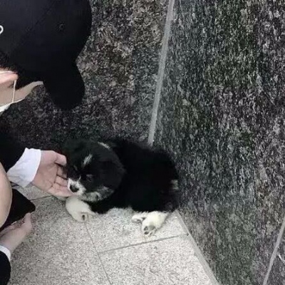 高清情侣头像女友不是人系列图片 女友不是人的情侣头像